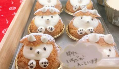 Japanese kawaii cream puff from a local bakery 🐻‍❄️ (Yes, it’s a bear)