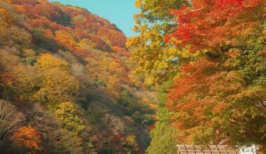 A few photos of Kyoto