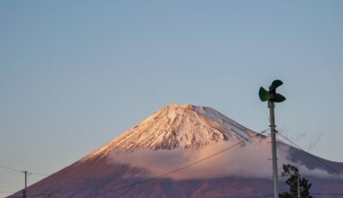 Shizuoka’s Tea Fields with Mount Fuji