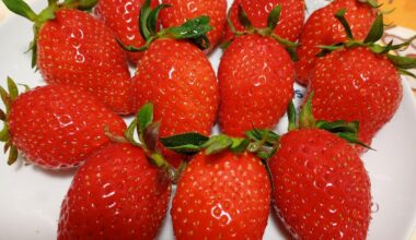 "Yayoihime" Japanese Strawberry