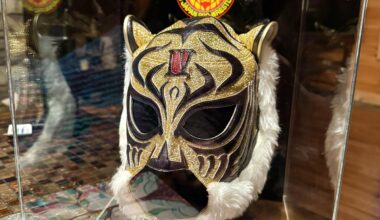 Latest addition to the NJPW collection