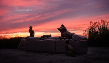 Golden Hour at Sakura Hometown Square