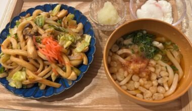 I made two udon dishes using two different homemade udon doughs from different flours