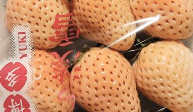 White Strawberries in Japan