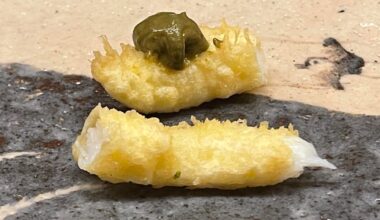 Tempura omakase at Tempura Koizumi (Kanazawa)