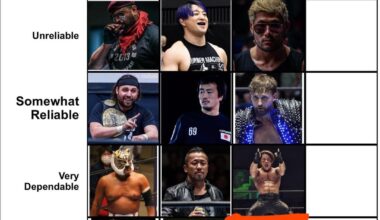 Bone Soldier Taiji Ishimori has been voted a High Tier Wrestler who’s Very Dependant. Taichi being a close runner up. Now who’s a High Tier Wrestler with Night to Night consistency (almost perfect)? Criteria details in caption