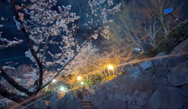 ここ、わかる人いるかな？