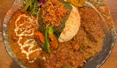 Beautiful Japanese Curries