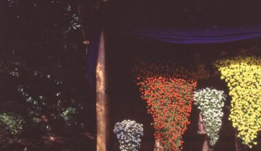 From my trip to Japan, mostly 120 film. Part of a personal project.