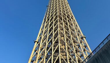 Lost in the beauty of Japan