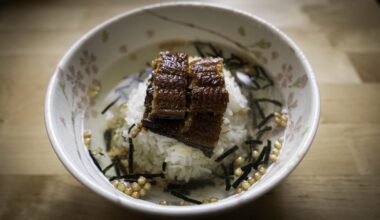 Just assembled (and eaten): Unagi chazuke