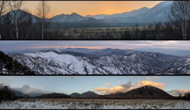 Panoramic wintery Japan