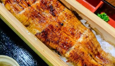 Unagi: Smash or Pass?