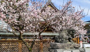 Events in Tokyo this week + meet friends