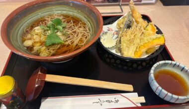 Shockingly good kake soba & tempura at Azusagawa Service Area (E19 Nagano Expressway)