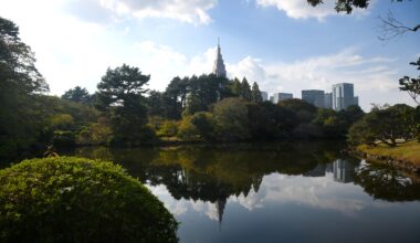 Shinjuku Gyoen's infamous pond shot