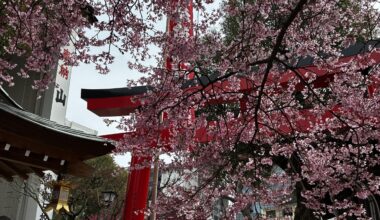 KUSHIDA Shinto shrine in Fukuoka