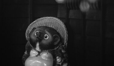 Tanuki of Kurokawa Onsen