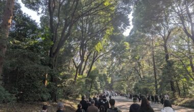 Random date with the wife