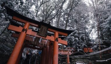 My first trip to Japan did not disappoint!