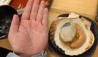 Hokkaido's seafood is the best!