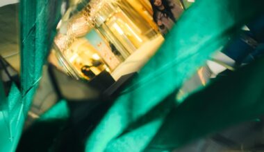 Some pictures I took last December