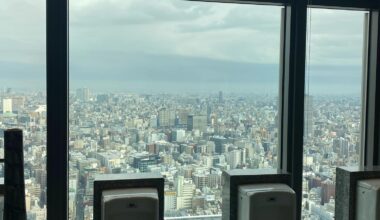 Tokyo view from the Mandarin Oriental Hotel restroom