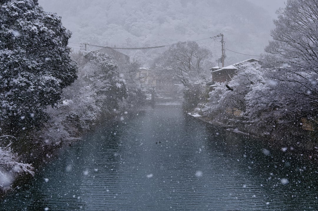 Kyoto Arashiyama