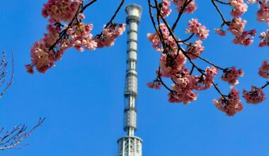 A spot away from the crowds and queue. Shot on iPhone 15 pro max