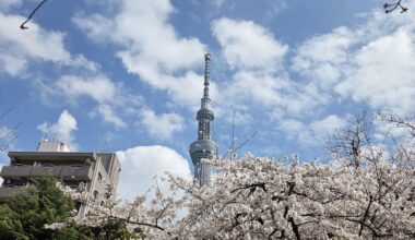 Sumida Park currently 27/03