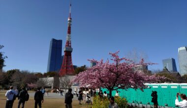 Shiba Koen 芝公園 Tokyo