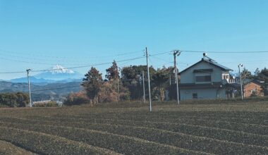 Shizuoka Tea Fields🍵