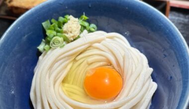 Udon: So Rich and Diverse!