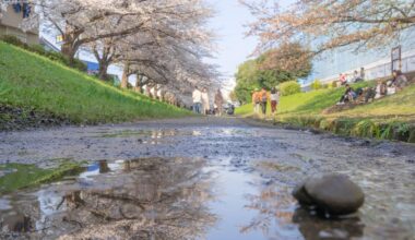 雪や氷が解け、静かに命が芽吹き始める春