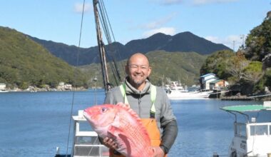 A fisherman's guesthouse in Minamiise, Mie and 'the full fish experience' bring 100s to Japan seaside town
