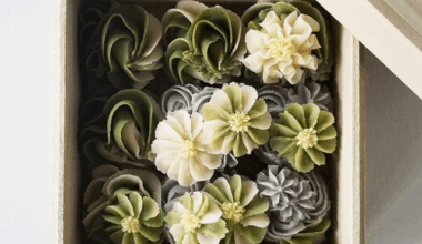 Unbelievably Beautiful Ohagi!