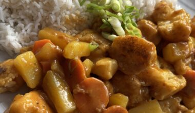 Kare Raisu ,without meat / Kare Raisu, ohne Fleisch in der Veggie-Edition