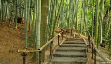 Next Green Drinks Kyoto - March 25th