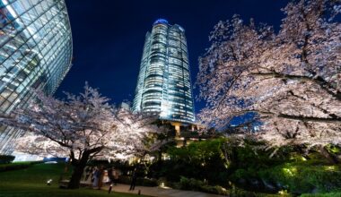 Events in Tokyo this week + meet friends