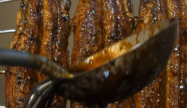 unagi eel rice boxes