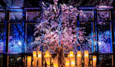 Events in Tokyo this week + meet friends