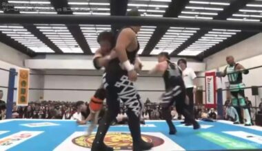 You get a DDT, and you get a DDT!