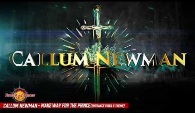 callum newman's new theme is definitely (partially) ai generated, right?