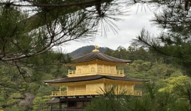 What a sight 😍🇯🇵 Kyoto