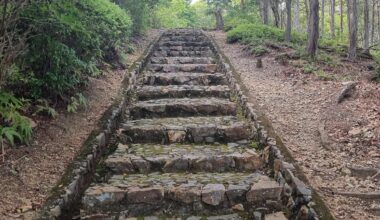 Stairs in the woods, Kyoto