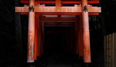 One of the most surreal walks I’ve ever had.