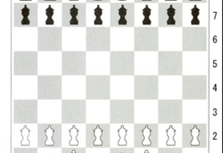 Short Descriptions of Chess Pieces