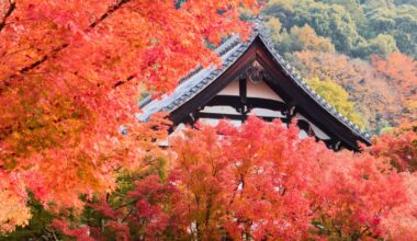 Eikando, Kyoto (Part II)
