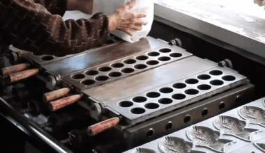 Never seen a takoyaki grill like this before, similar to a taiyaki grill that folds