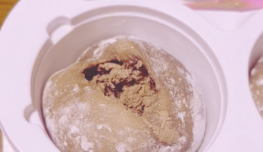 Chocolate Yukimi Daifuku